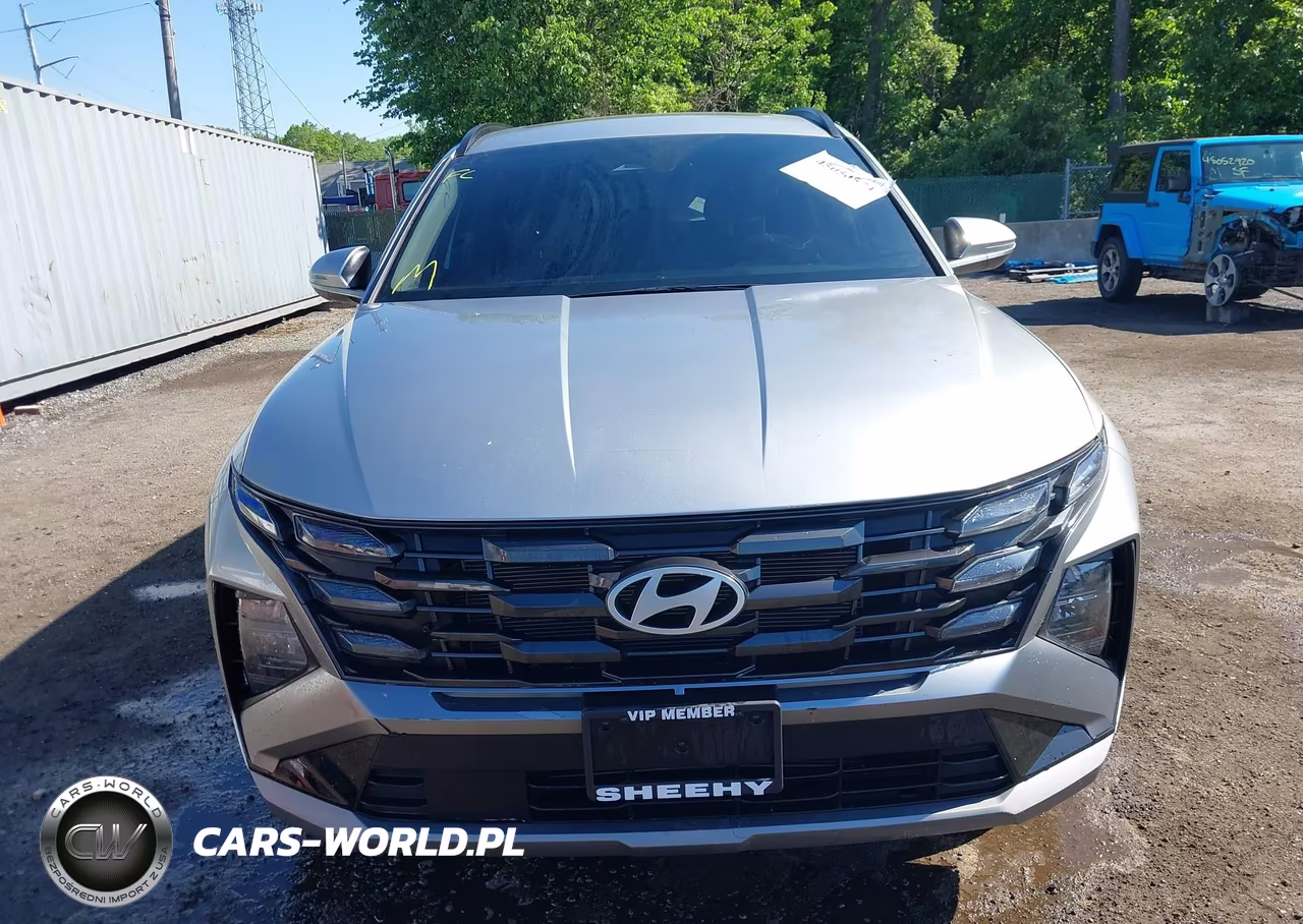 2025 Hyundai Tucson Sel Convenience VIN:5NMJCCDE0SH505980 - 12