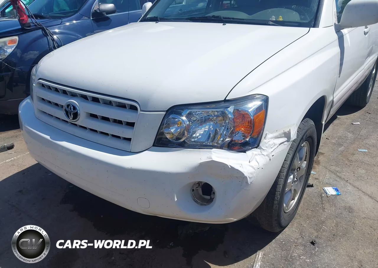 2004 Toyota Highlander V6 VIN:JTEGP21A640001930 - 6