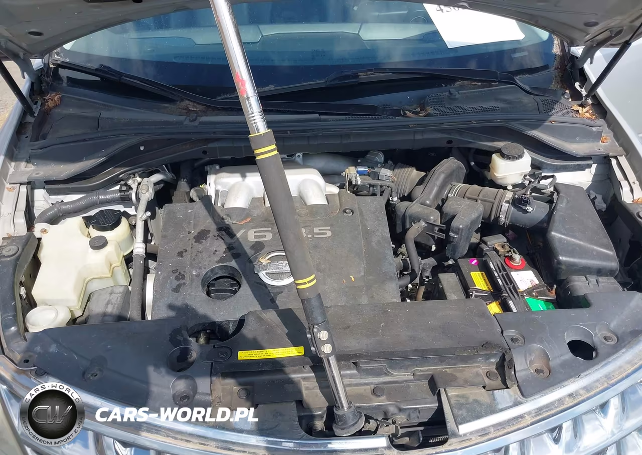 2006 Nissan Murano Se VIN:JN8AZ08W86W506334 - 10