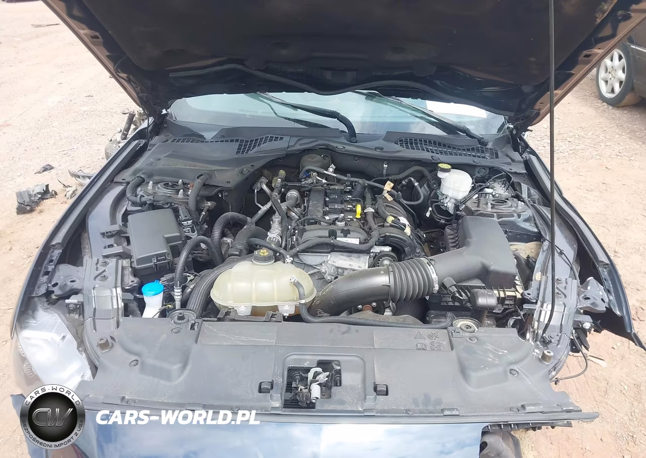 2021 Ford Mustang Ecoboost Fastback VIN:1FA6P8TH0M5147360 - 10