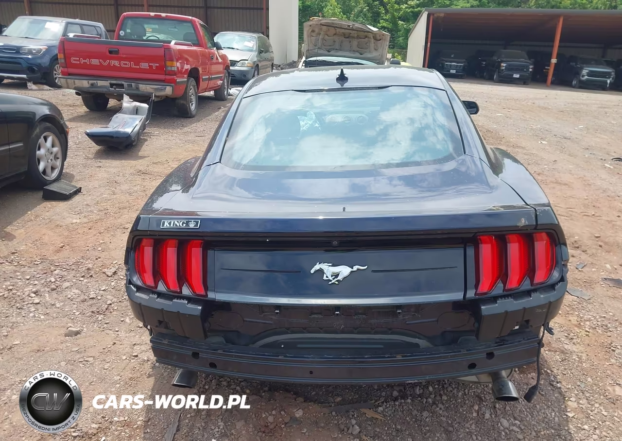 2021 Ford Mustang Ecoboost Fastback VIN:1FA6P8TH0M5147360 - 15