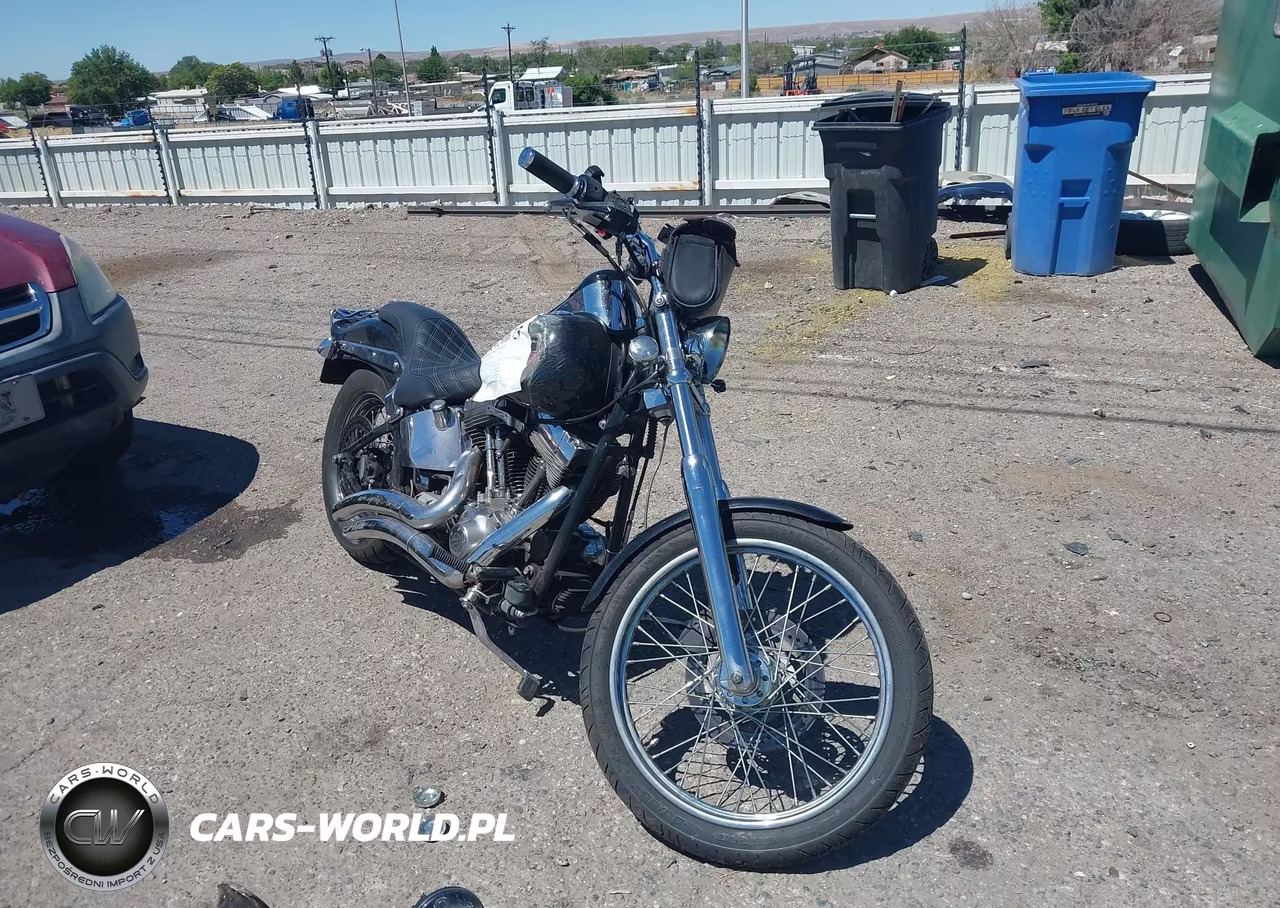 2001 Harley-Davidson Fxst