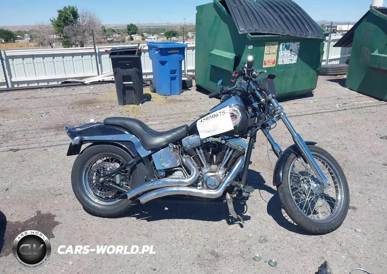 2001 Harley-Davidson Fxst VIN:1HD1BHY161Y019910 - 12