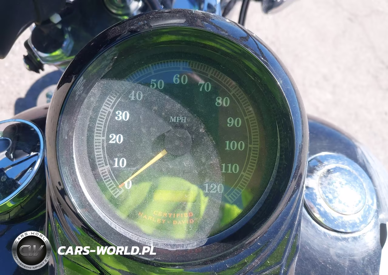 2001 Harley-Davidson Fxst VIN:1HD1BHY161Y019910 - 7