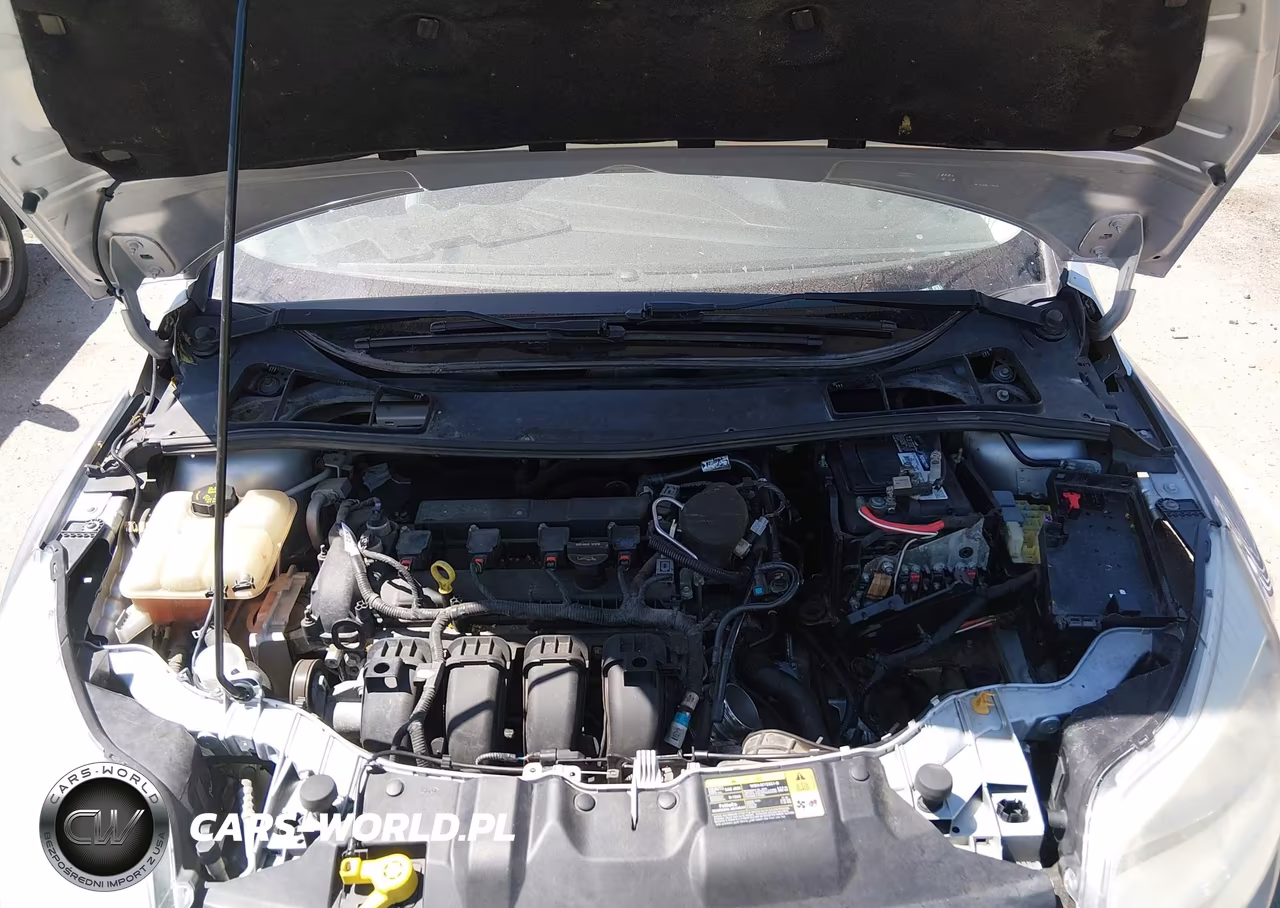 2014 Ford Focus Se VIN:1FADP3K26EL254501 - 10