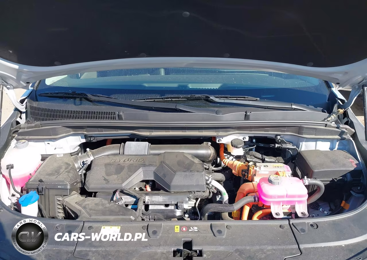 2025 Kia Carnival Mpv Hybrid Ex VIN:KNDNC5KA7S6071051 - 10