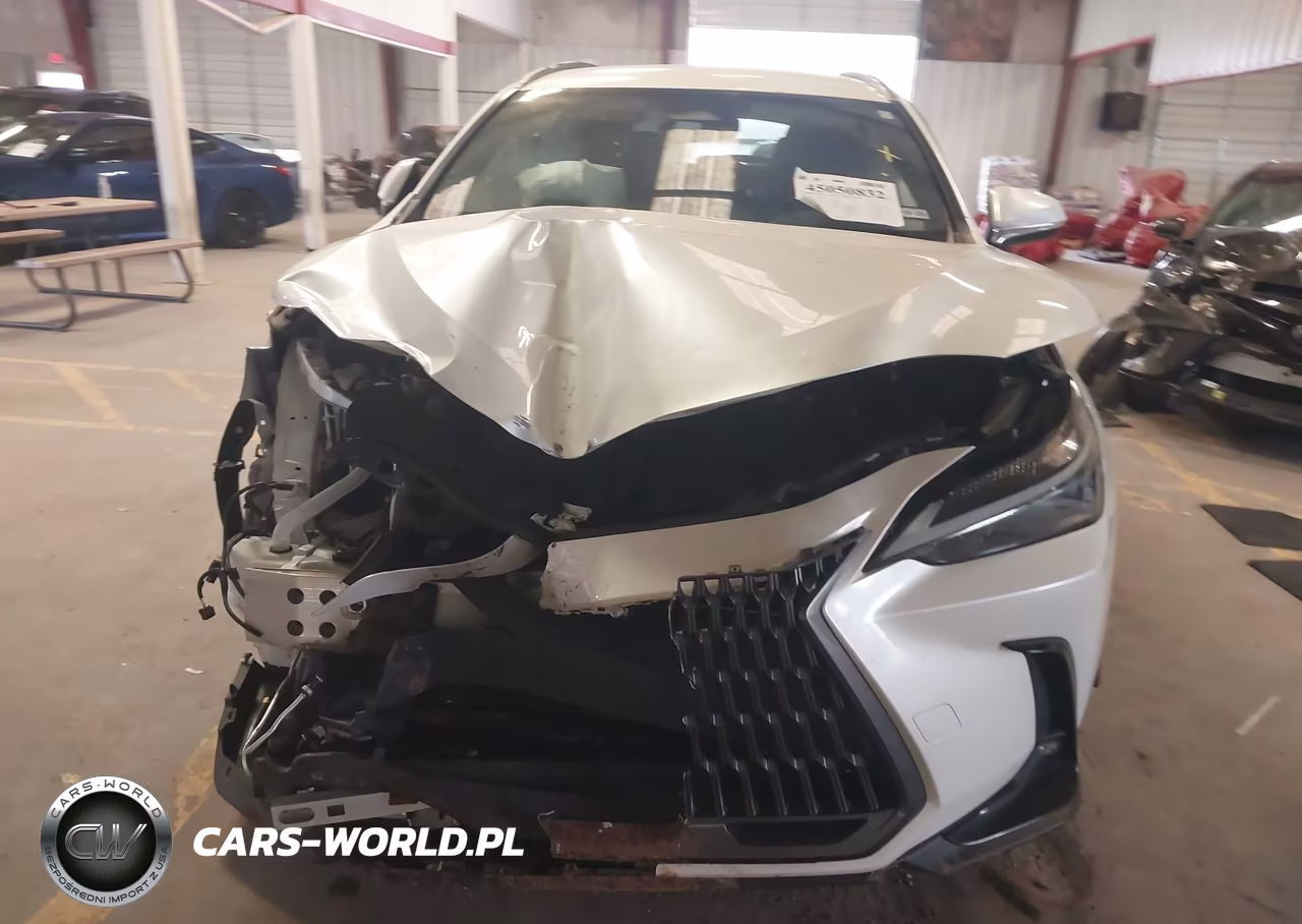 2024 Lexus Nx 250 VIN:JTJADCAZ1R2008646 - 11