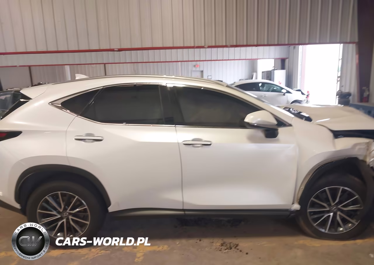 2024 Lexus Nx 250 VIN:JTJADCAZ1R2008646 - 12
