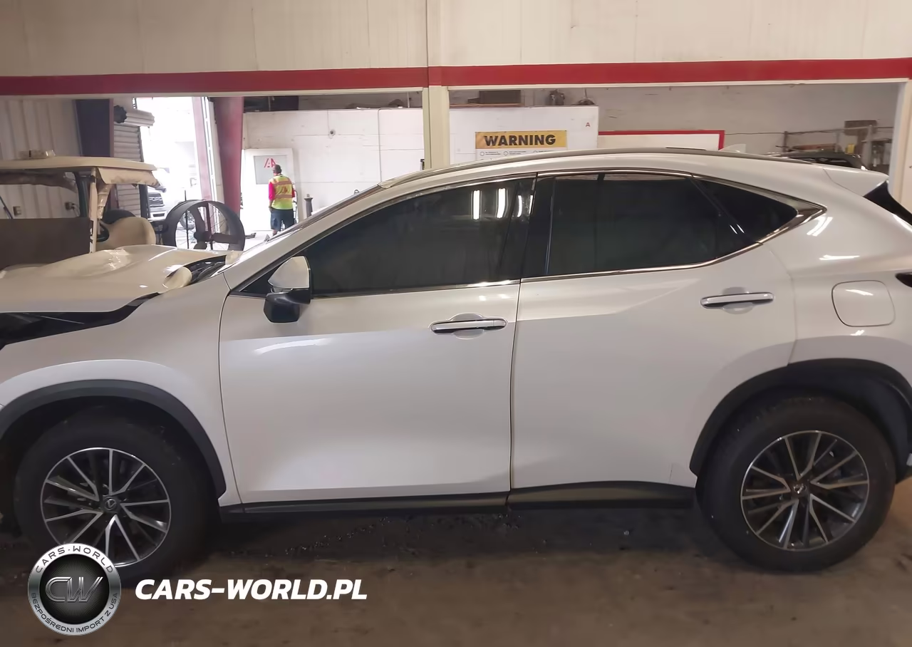 2024 Lexus Nx 250 VIN:JTJADCAZ1R2008646 - 13