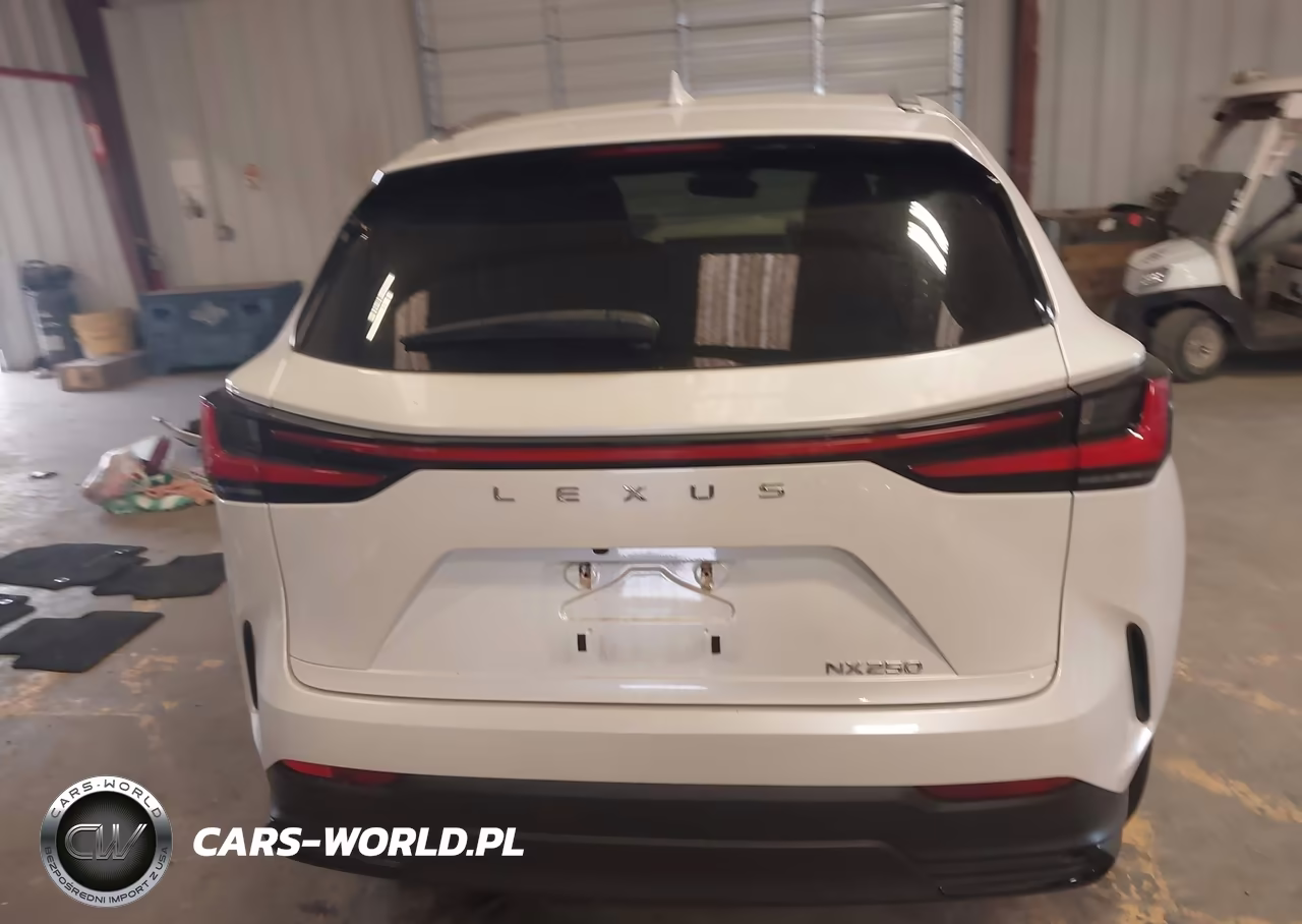 2024 Lexus Nx 250 VIN:JTJADCAZ1R2008646 - 15