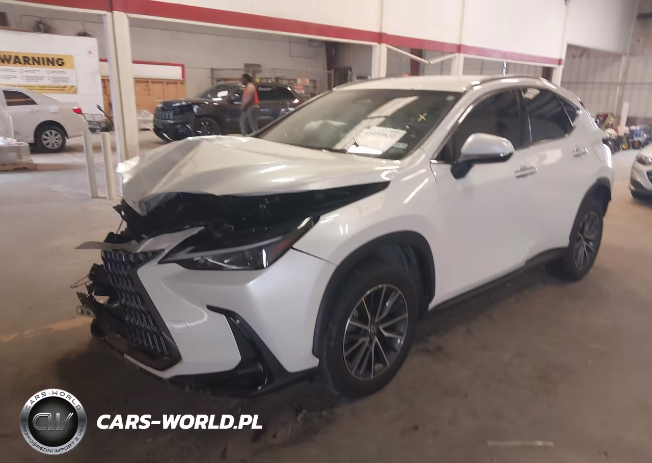 2024 Lexus Nx 250 VIN:JTJADCAZ1R2008646 - 2