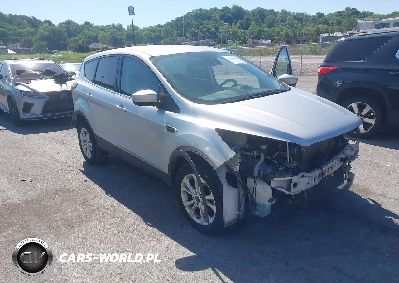 2019 Ford Escape Se