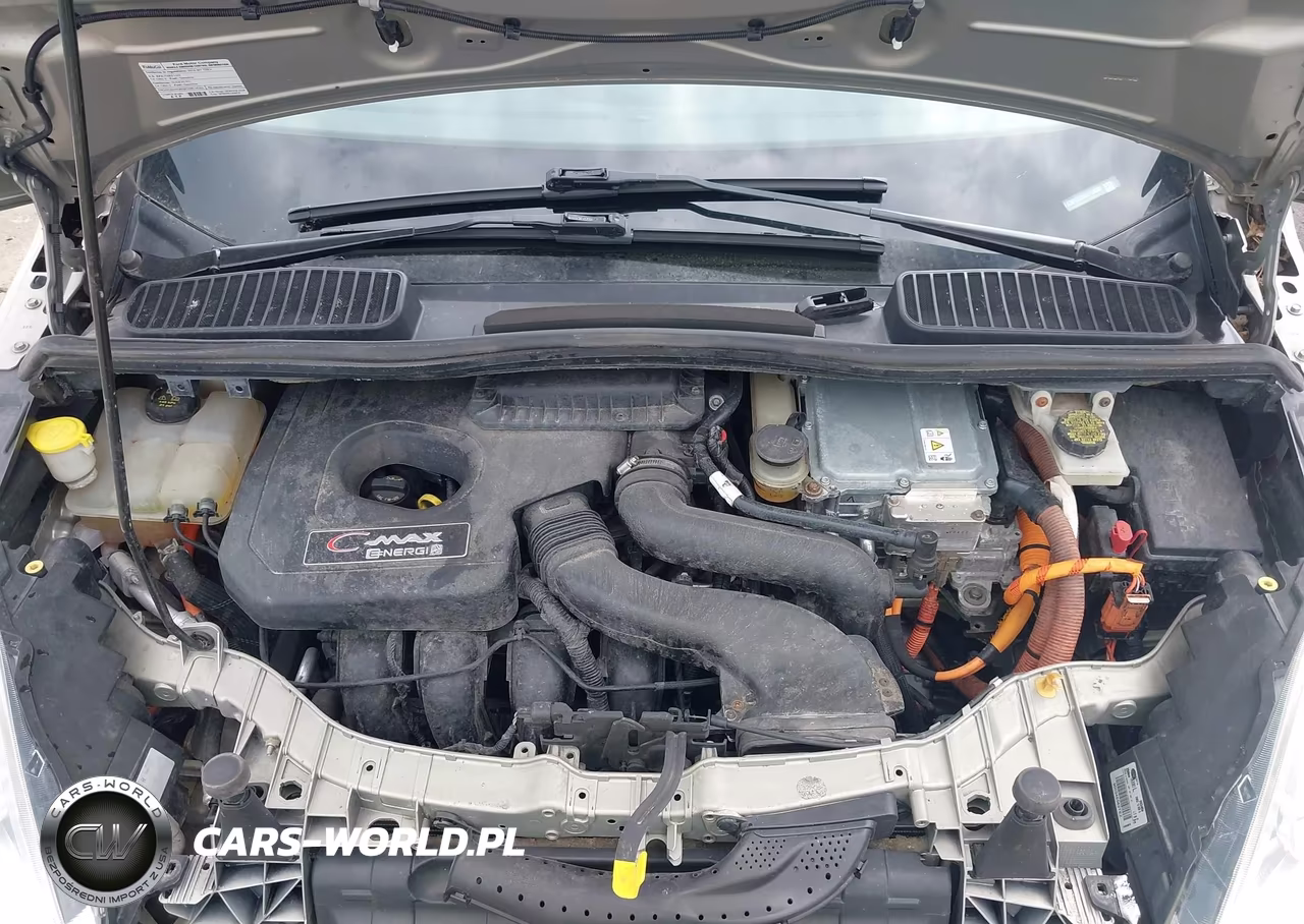 2016 Ford C-Max Energi Sel VIN:1FADP5CU3GL113660 - 10