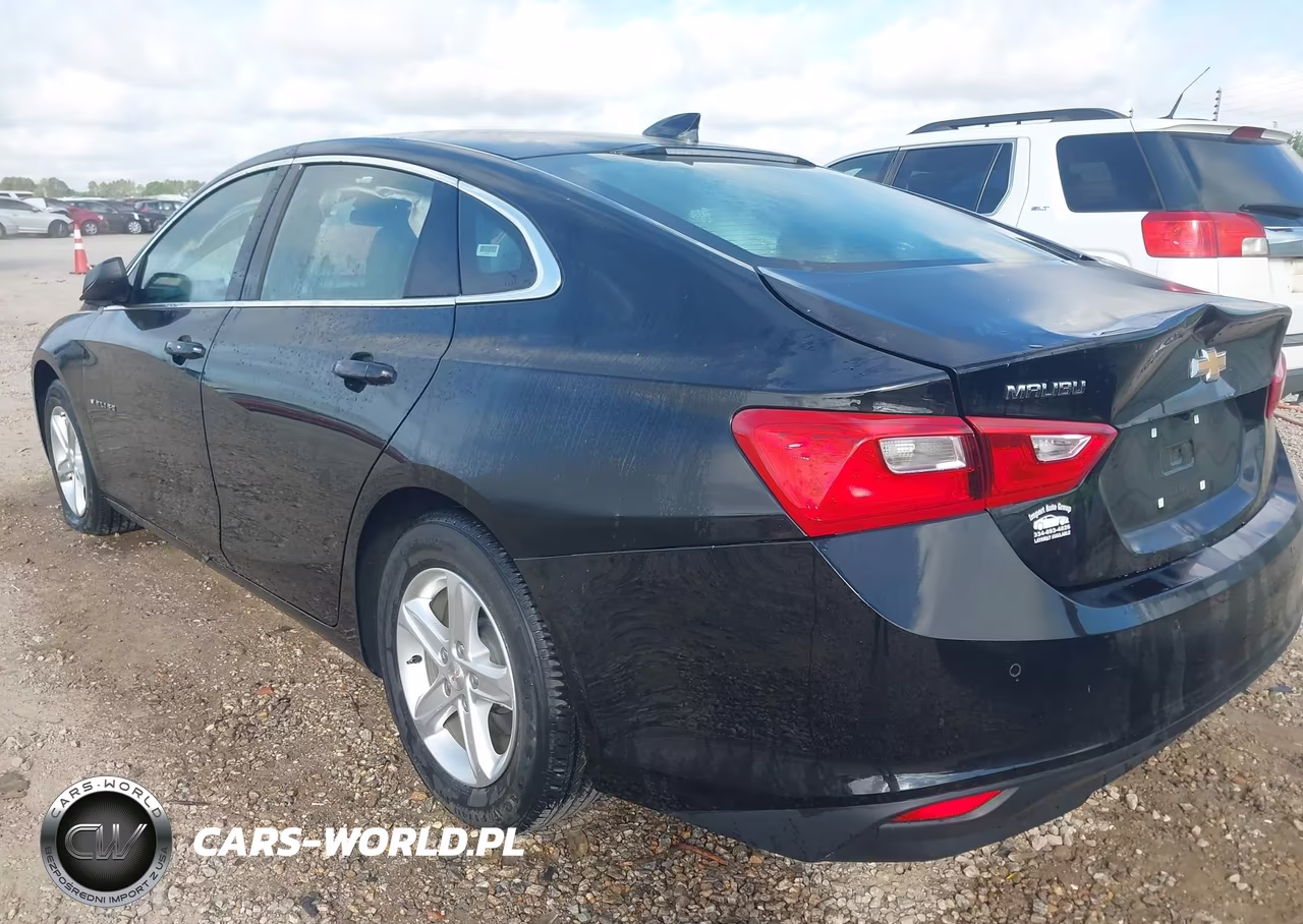 2024 CHEVROLET MALIBU LT VIN:1G1ZD5ST7RF112555 - 3