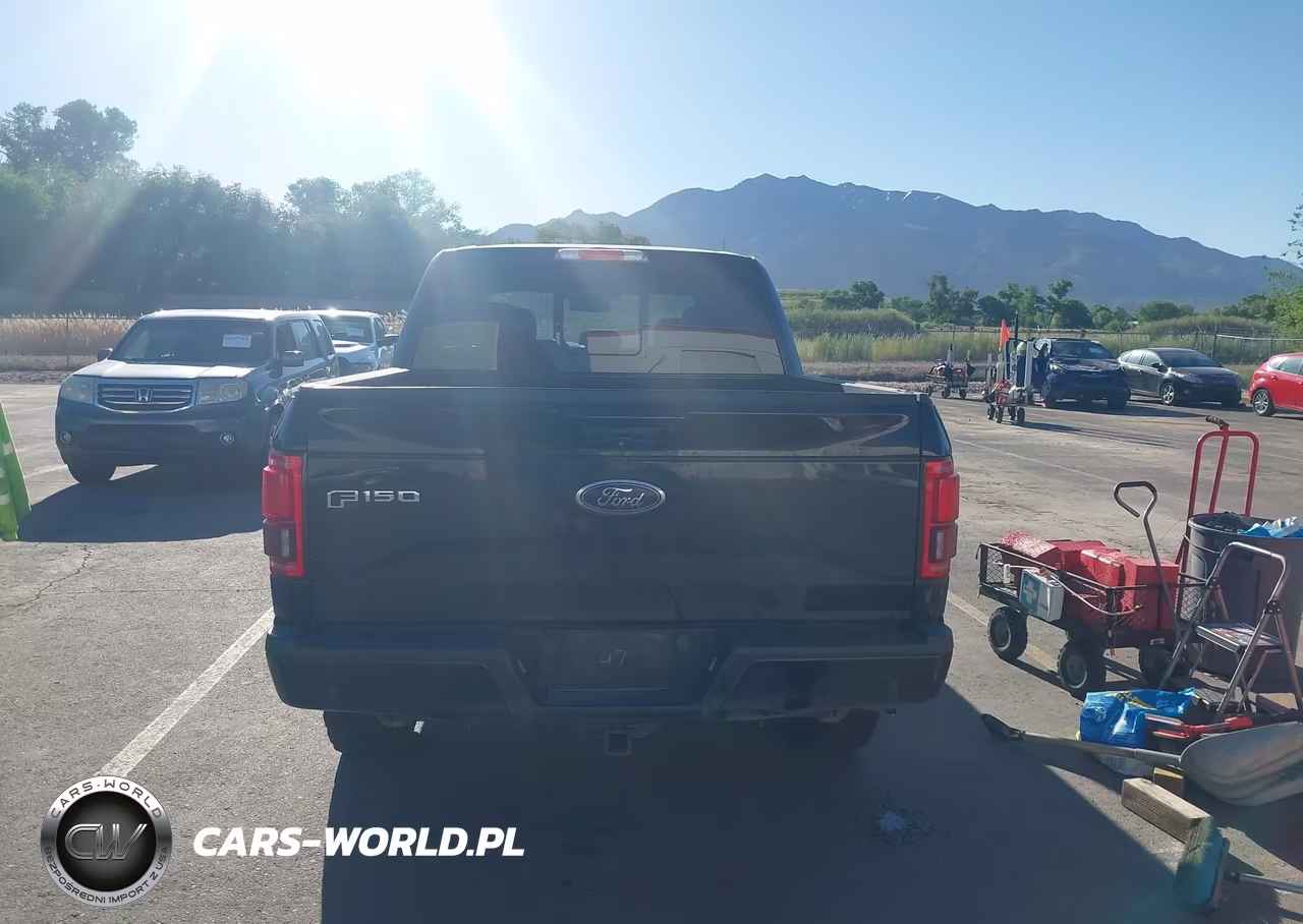 2017 Ford F-150 Lariat VIN:1FTEW1EG8HFB70891 - 16