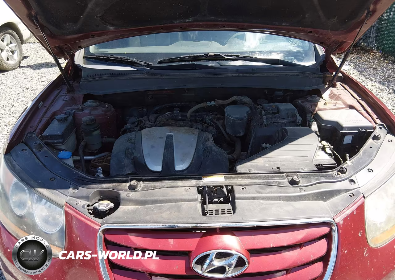 2010 Hyundai Santa Fe Limited V6 VIN:5NMSKDAG0AH382926 - 10