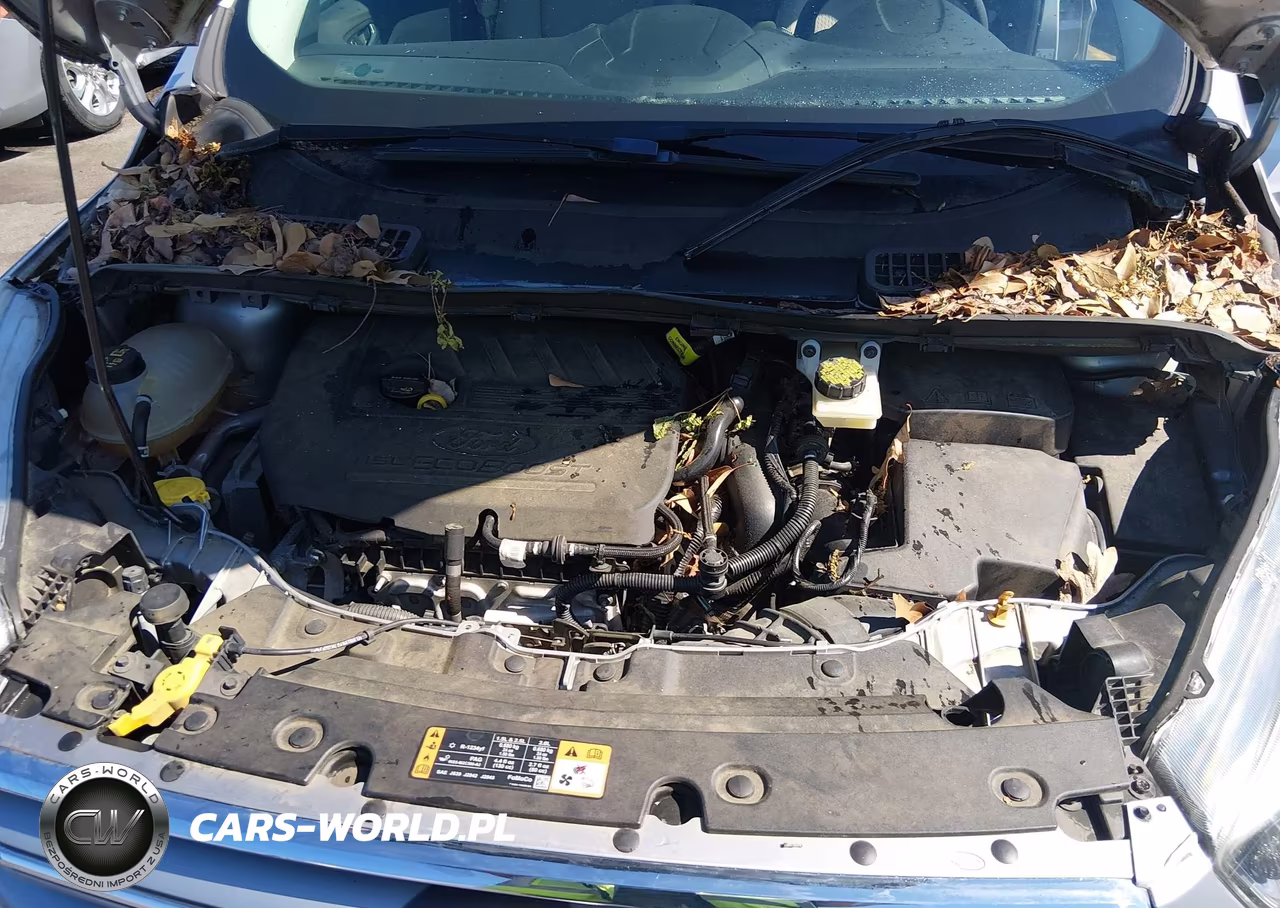 2017 Ford Escape Se VIN:1FMCU0GD6HUA53652 - 10