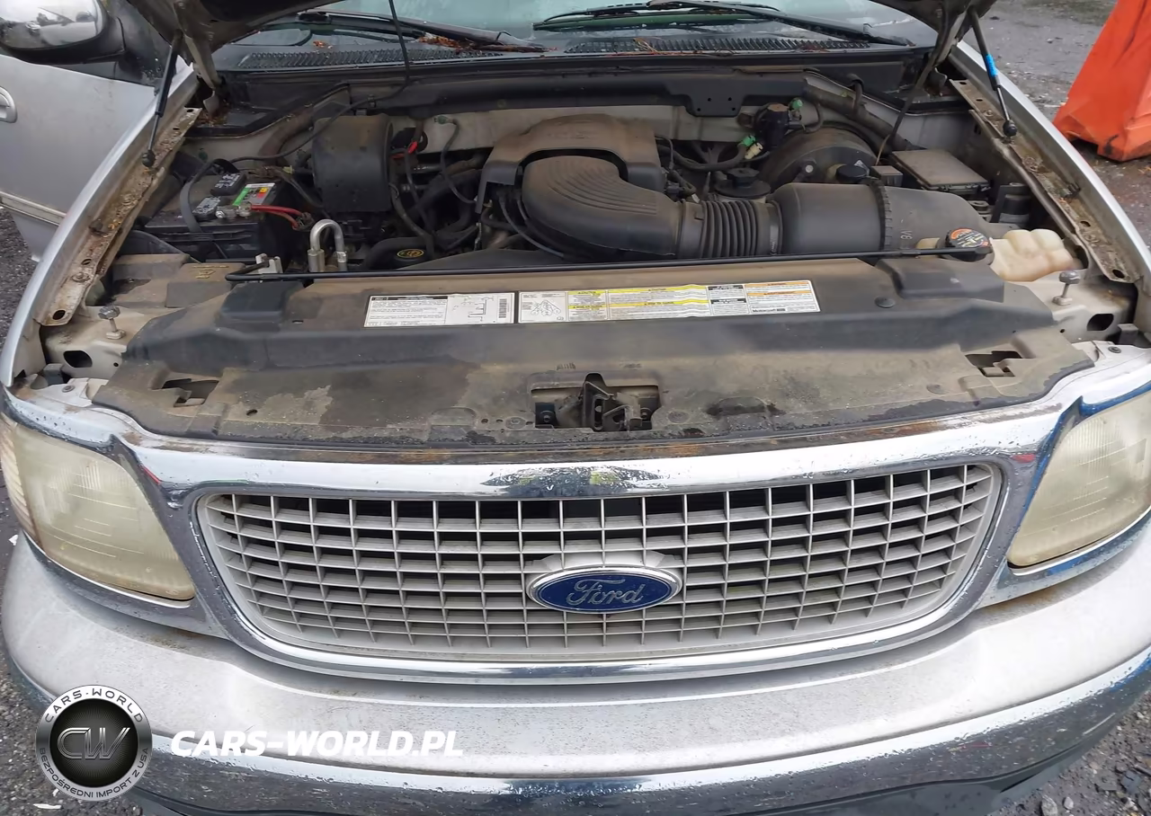 1999 Ford Expedition Eddie Bauer-Xlt VIN:1FMRU1762XLA69854 - 10