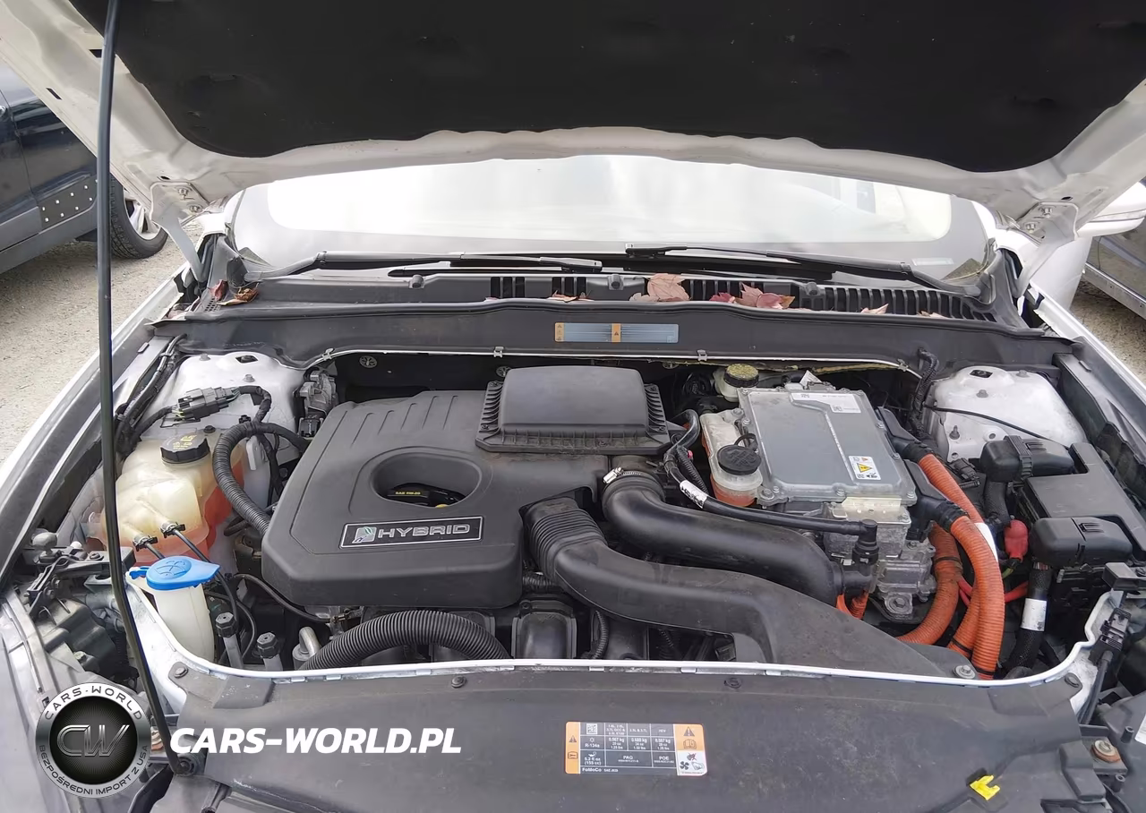 2013 Ford Fusion Hybrid Se VIN:3FA6P0LUXDR144932 - 10