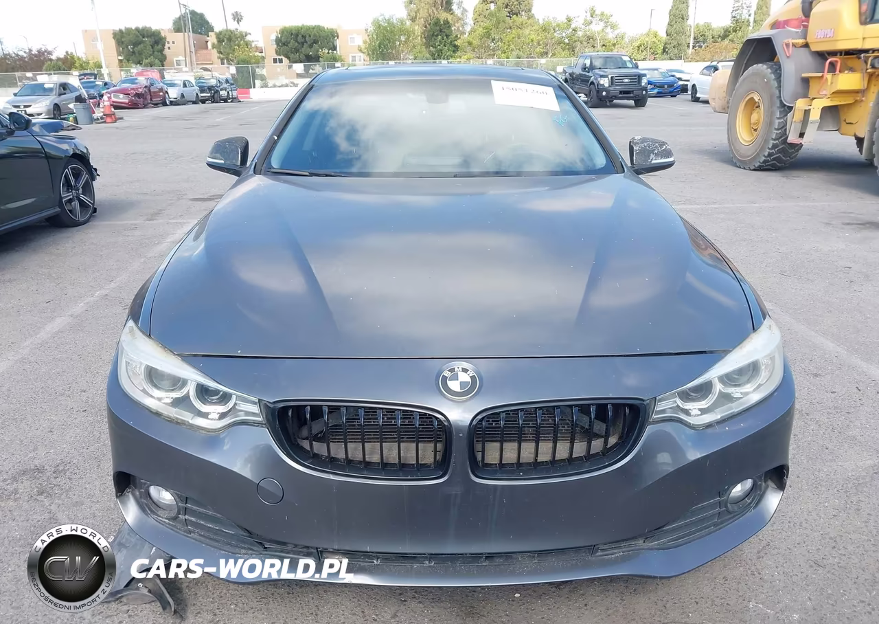 2014 BMW 428I VIN:WBA3N7C58EF718251 - 12