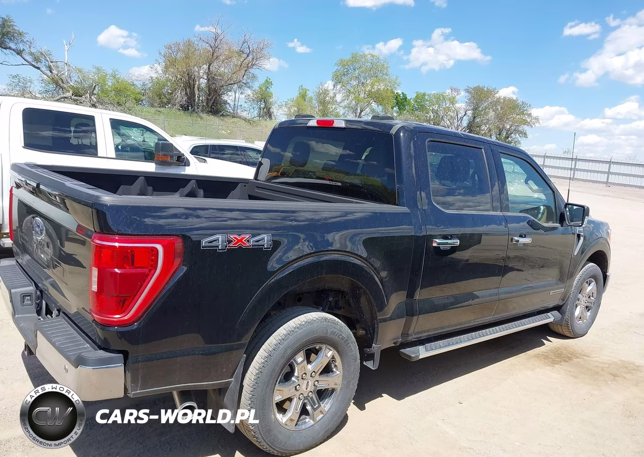 2023 Ford F-150 Xlt VIN:1FTFW1ED4PFC81057 - 13