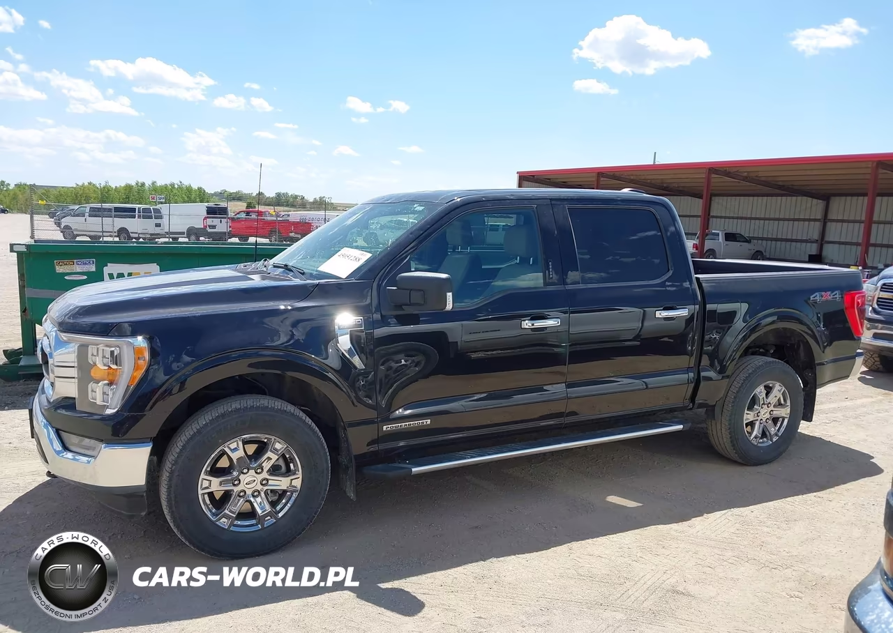 2023 Ford F-150 Xlt VIN:1FTFW1ED4PFC81057 - 14