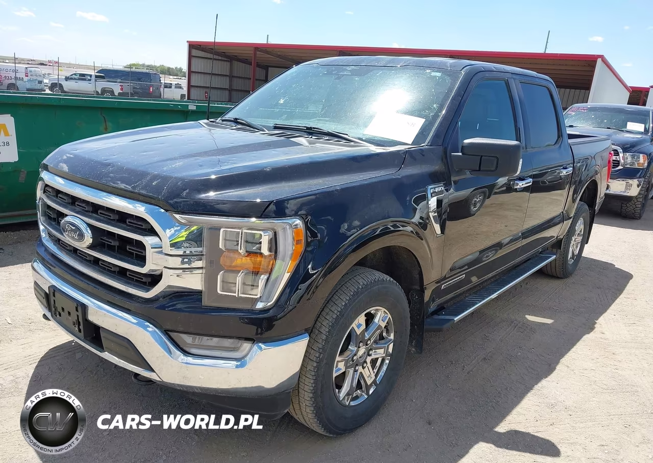 2023 Ford F-150 Xlt VIN:1FTFW1ED4PFC81057 - 2