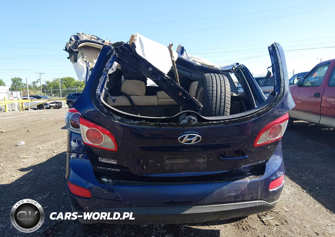 2010 Hyundai Santa Fe Gls VIN:5NMSG3AB7AH386648 - 16