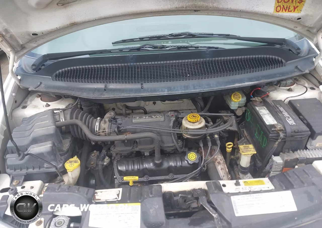 2003 Dodge Caravan Cv VIN:1D4GP21373B335962 - 10