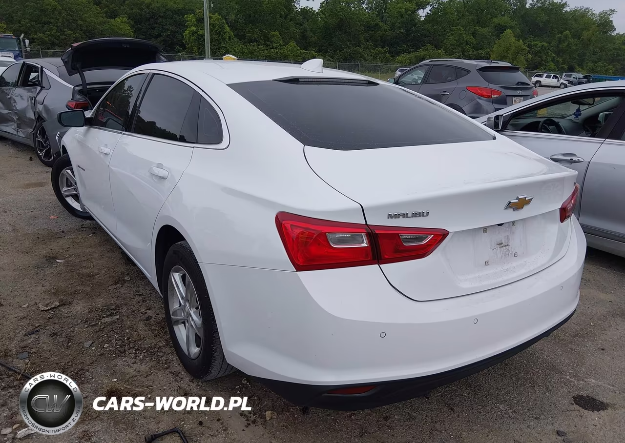 2024 Chevrolet Malibu Fwd 1Lt VIN:1G1ZD5STXRF168005 - 3