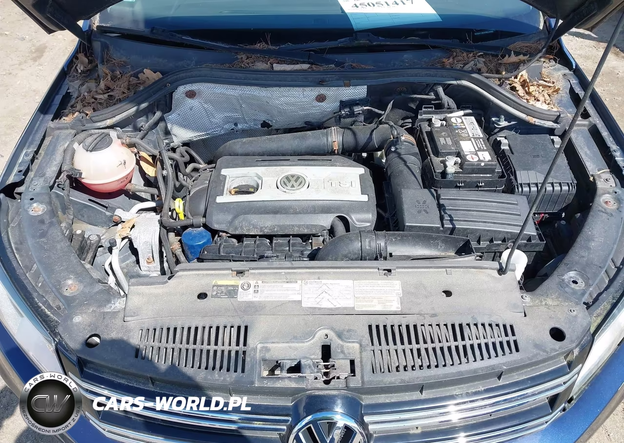 2015 Volkswagen Tiguan S VIN:WVGBV7AX3FW574480 - 10