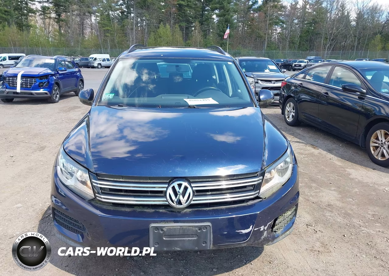 2015 Volkswagen Tiguan S VIN:WVGBV7AX3FW574480 - 13