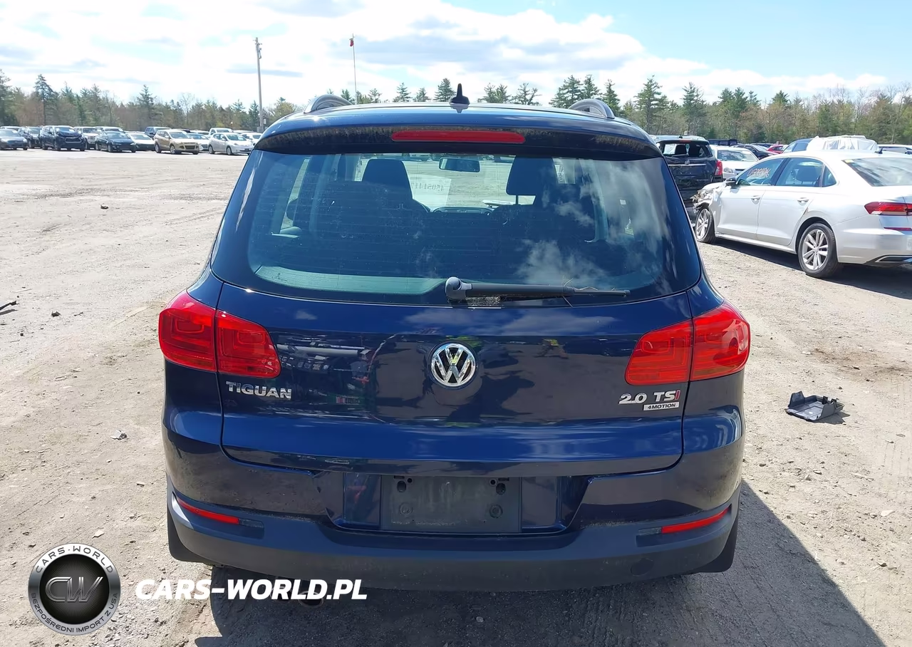2015 Volkswagen Tiguan S VIN:WVGBV7AX3FW574480 - 17