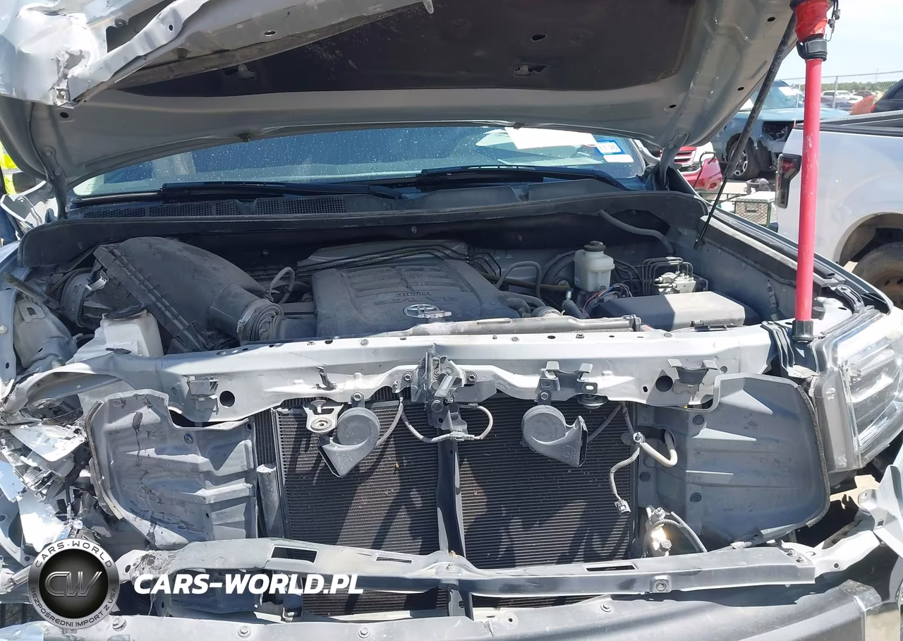 2019 Toyota Tundra Limited 5.7L V8 VIN:5TFFY5F1XKX244460 - 10