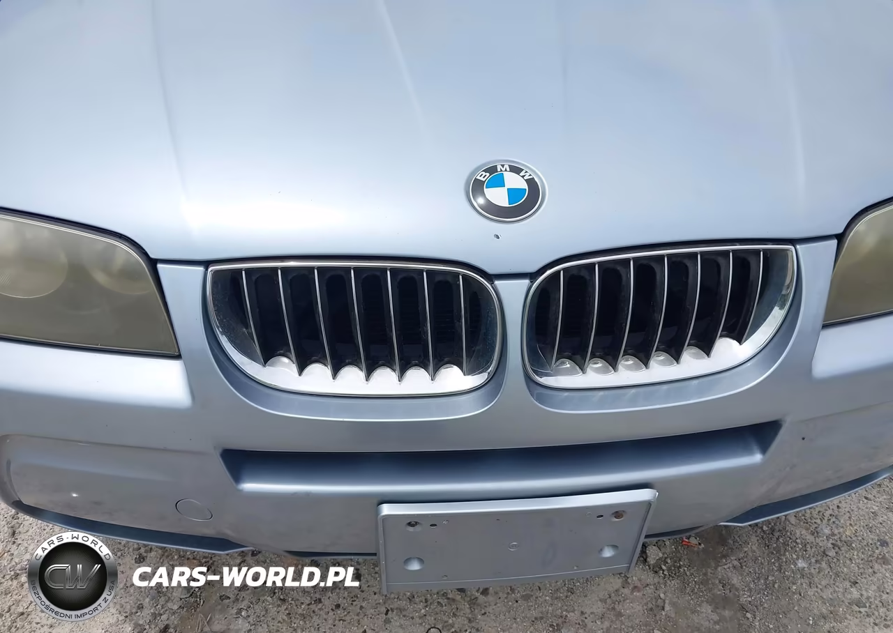 2006 BMW X3 3.0I VIN:WBXPA93456WG89169 - 6