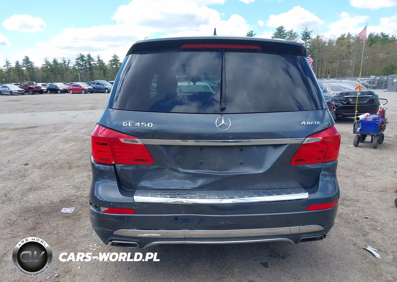 2014 Mercedes-Benz Gl 450 4Matic VIN:4JGDF7CE5EA336062 - 17