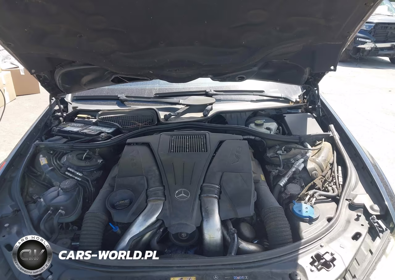 2013 Mercedes-Benz S 550 VIN:WDDNG7DB2DA508823 - 10