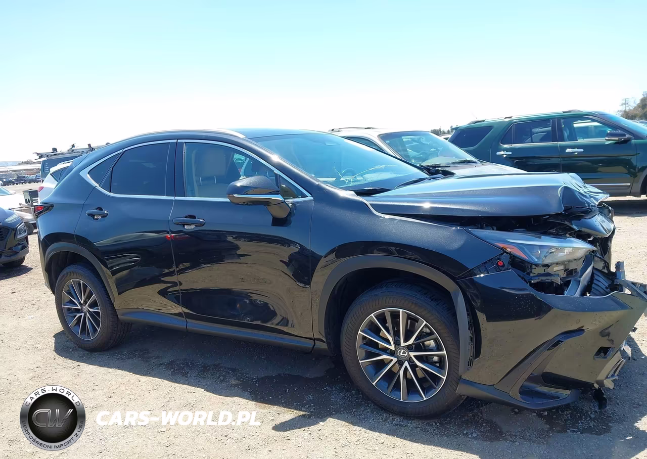 2025 Lexus Nx 350H Premium VIN:2T2GKCEZ5SC038278 - 13