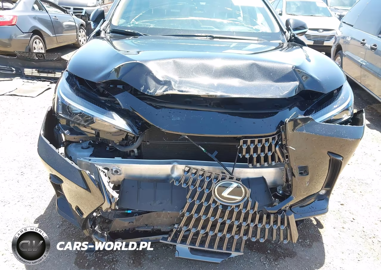 2025 Lexus Nx 350H Premium VIN:2T2GKCEZ5SC038278 - 6