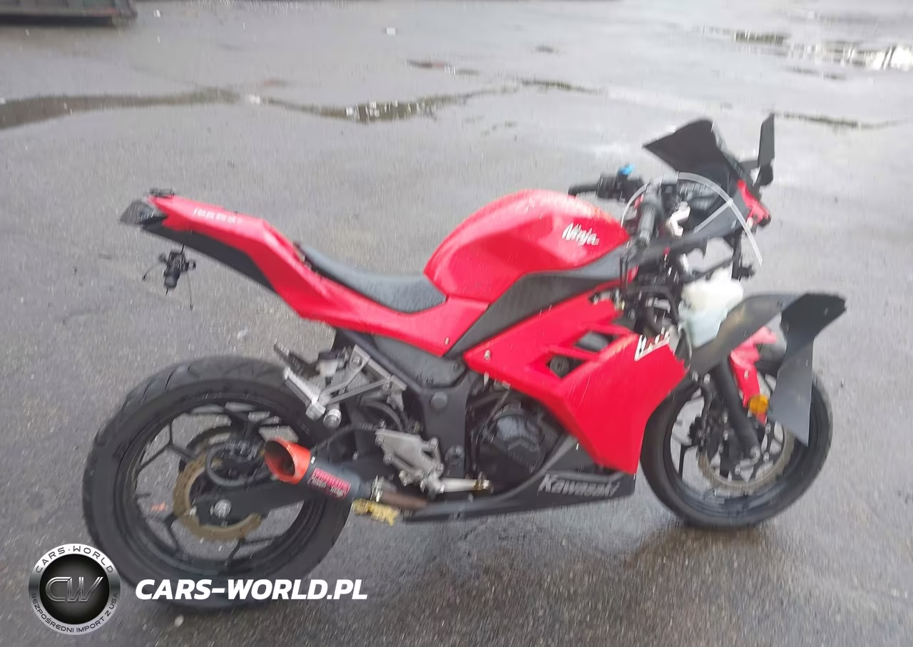 2016 Kawasaki Ex300 A VIN:JKAEX8A16GDA29879 - 12