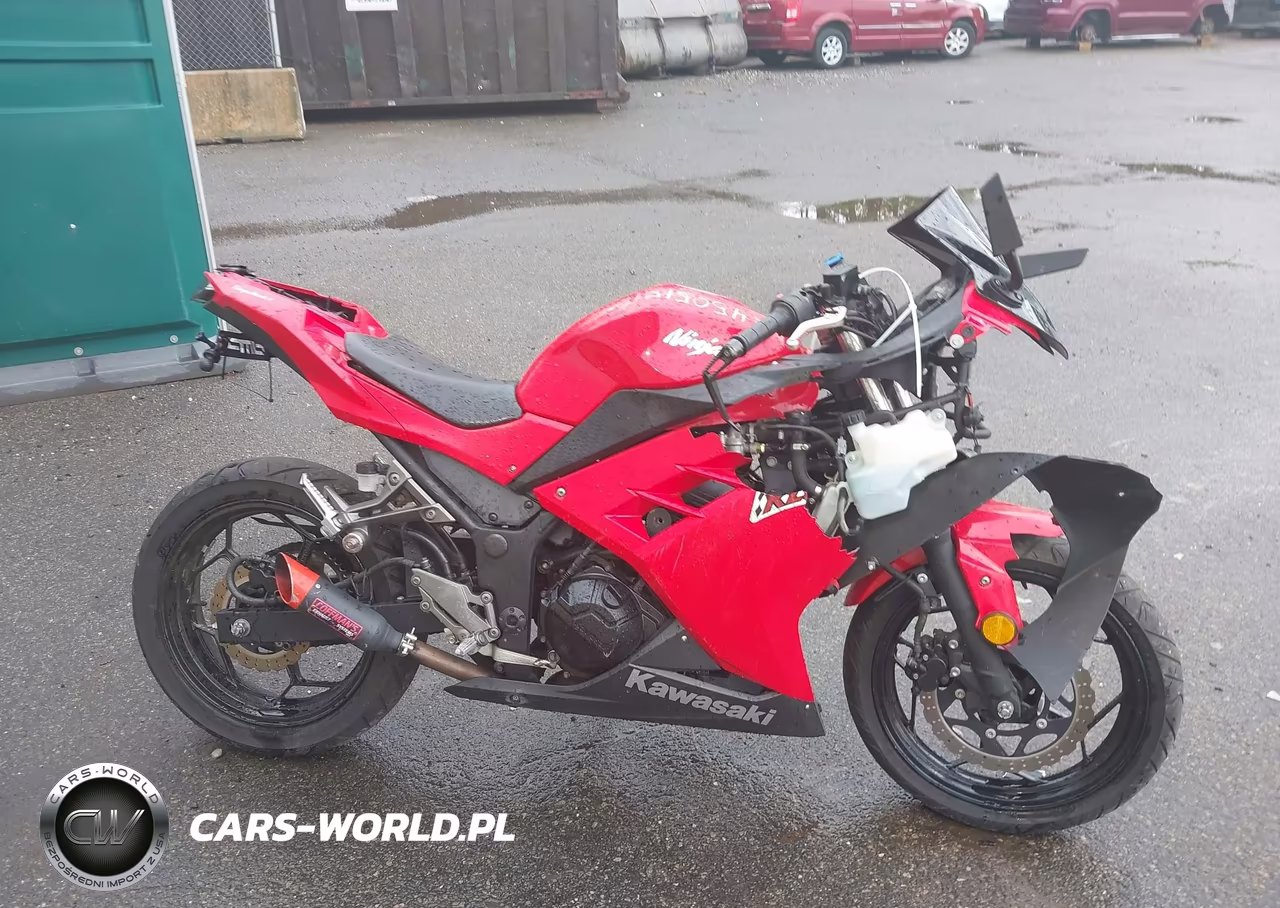 2016 Kawasaki Ex300 A VIN:JKAEX8A16GDA29879 - 8