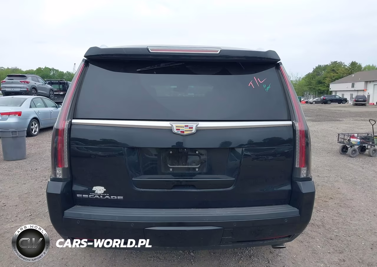 2018 Cadillac Escalade Luxury VIN:1GYS4BKJ5JR281881 - 16