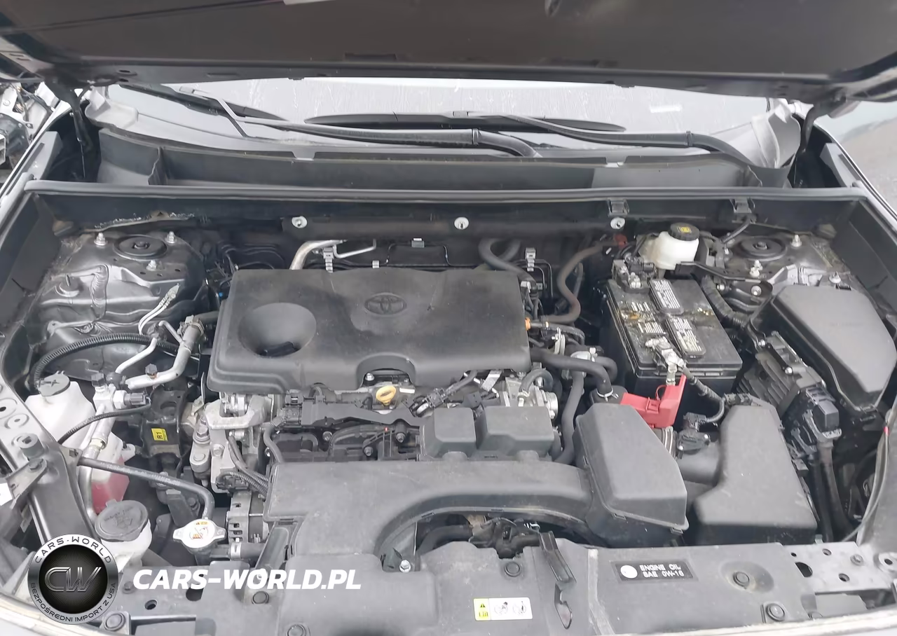 2024 Toyota Rav4 Xle VIN:2T3W1RFV0RC263033 - 10