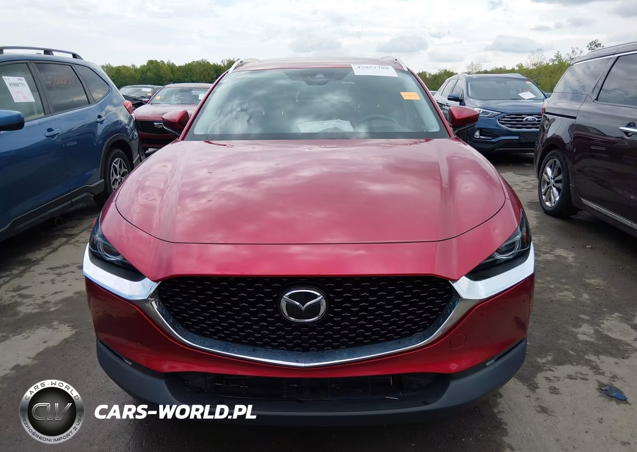 2020 Mazda Cx-30 Premium Package VIN:3MVDMBEM8LM139418 - 12