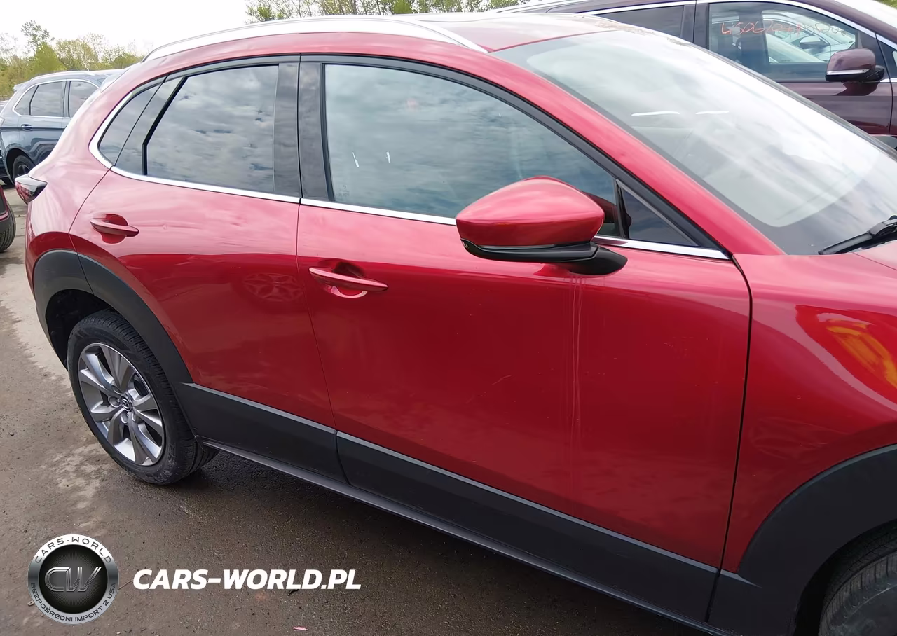 2020 Mazda Cx-30 Premium Package VIN:3MVDMBEM8LM139418 - 13