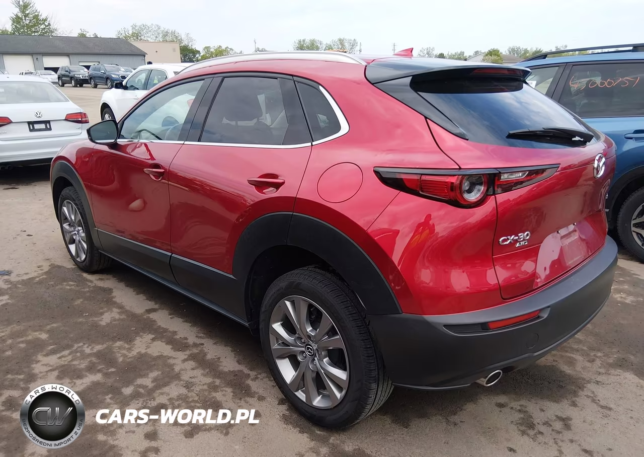 2020 Mazda Cx-30 Premium Package VIN:3MVDMBEM8LM139418 - 3