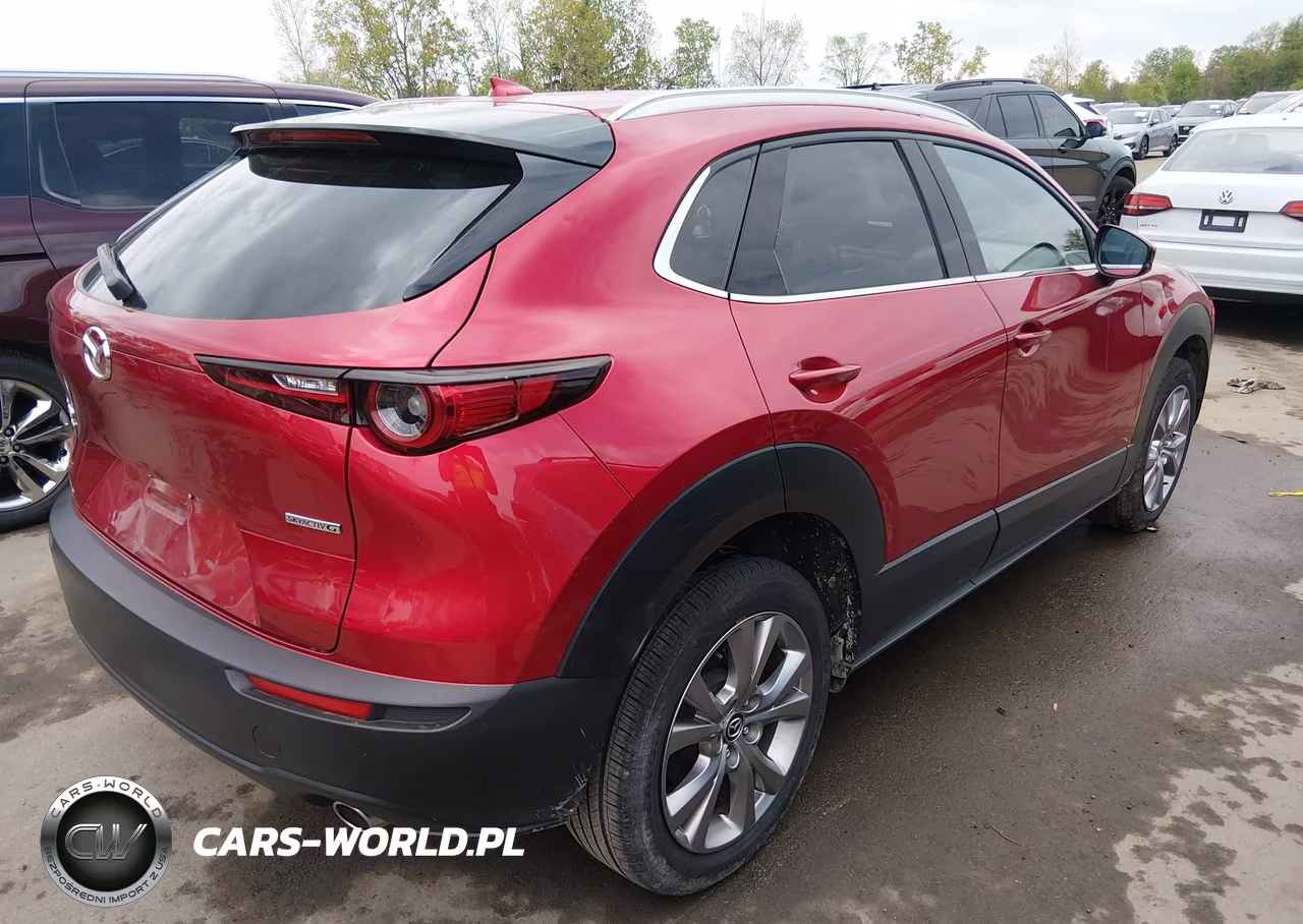 2020 Mazda Cx-30 Premium Package VIN:3MVDMBEM8LM139418 - 4