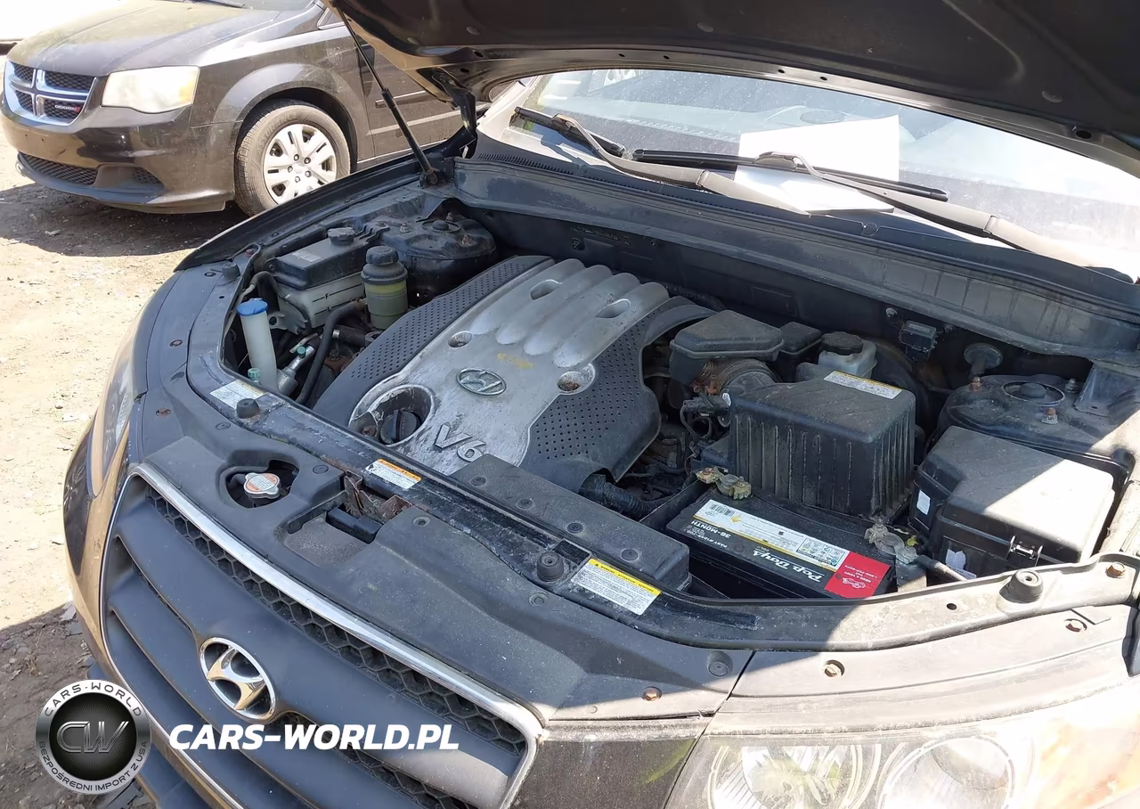 2007 Hyundai Santa Fe Gls VIN:KM8SG13D87U101715 - 10
