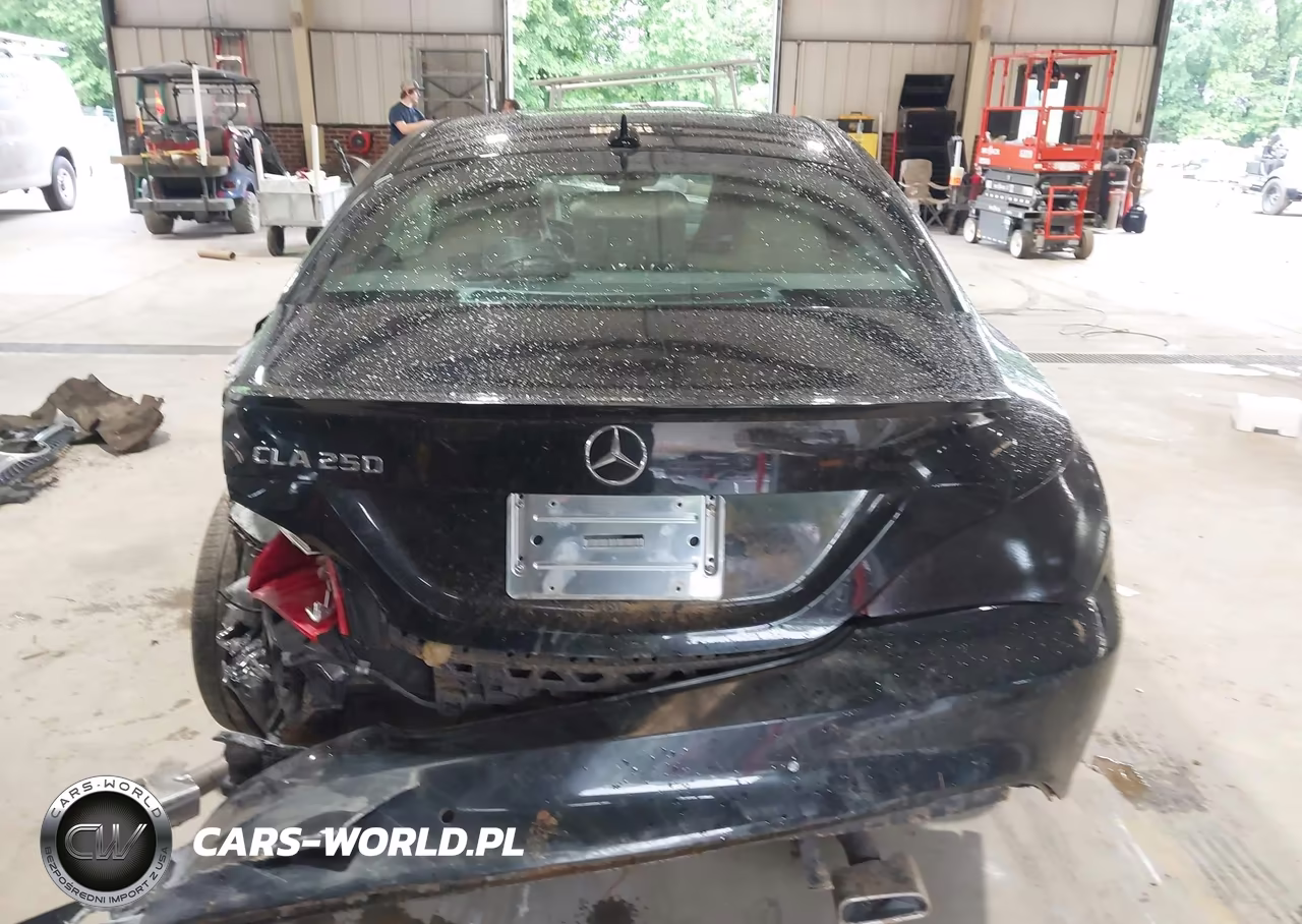 2014 Mercedes-Benz Cla 250 VIN:WDDSJ4EB1EN055001 - 16