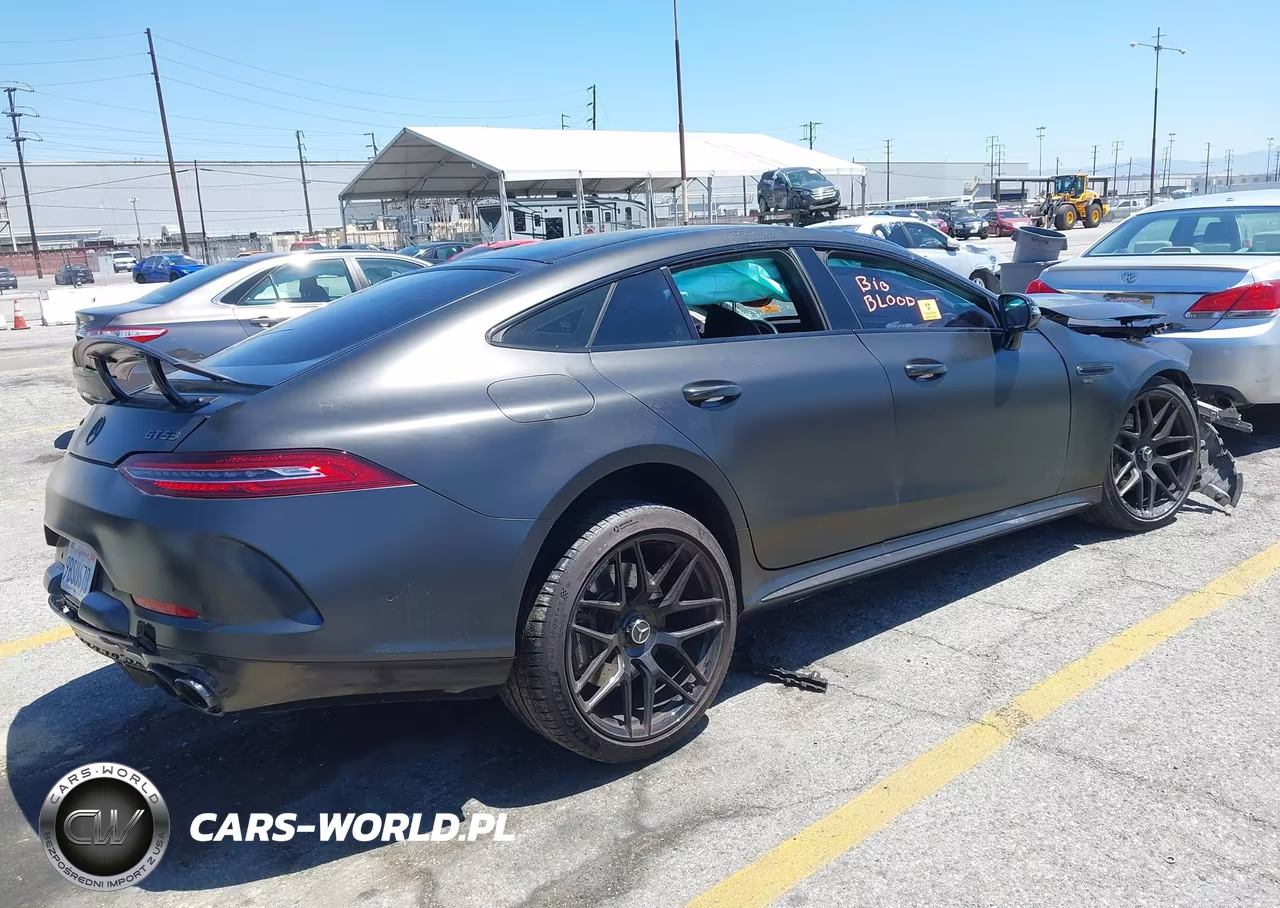2022 Mercedes-Benz Amg Gt 53 4-Door Coupe VIN:W1K7X6BB6NA046662 - 4